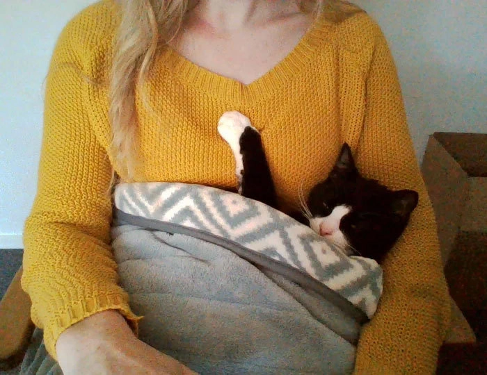 То, что скрыто от моих учеников, пока я преподаю по Zoom.