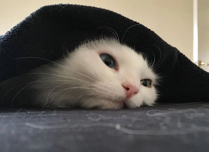 Когда думал, что пятница, а еще только понедельник.