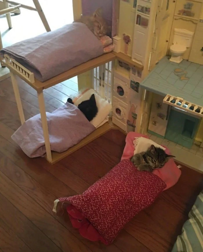 Парни в детском лагере.