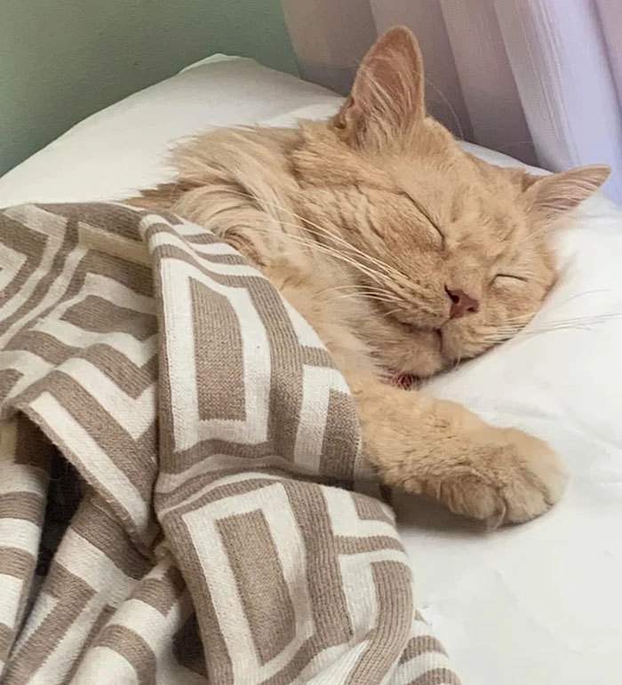 Это был тяжелый день. 