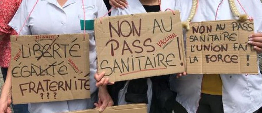 Лозунги протестующих