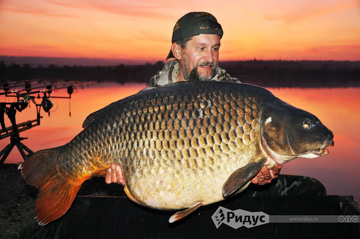 Андрей Ревенко с карпом-рекордсменом Андрей Ревенко с карпом-рекордсменом