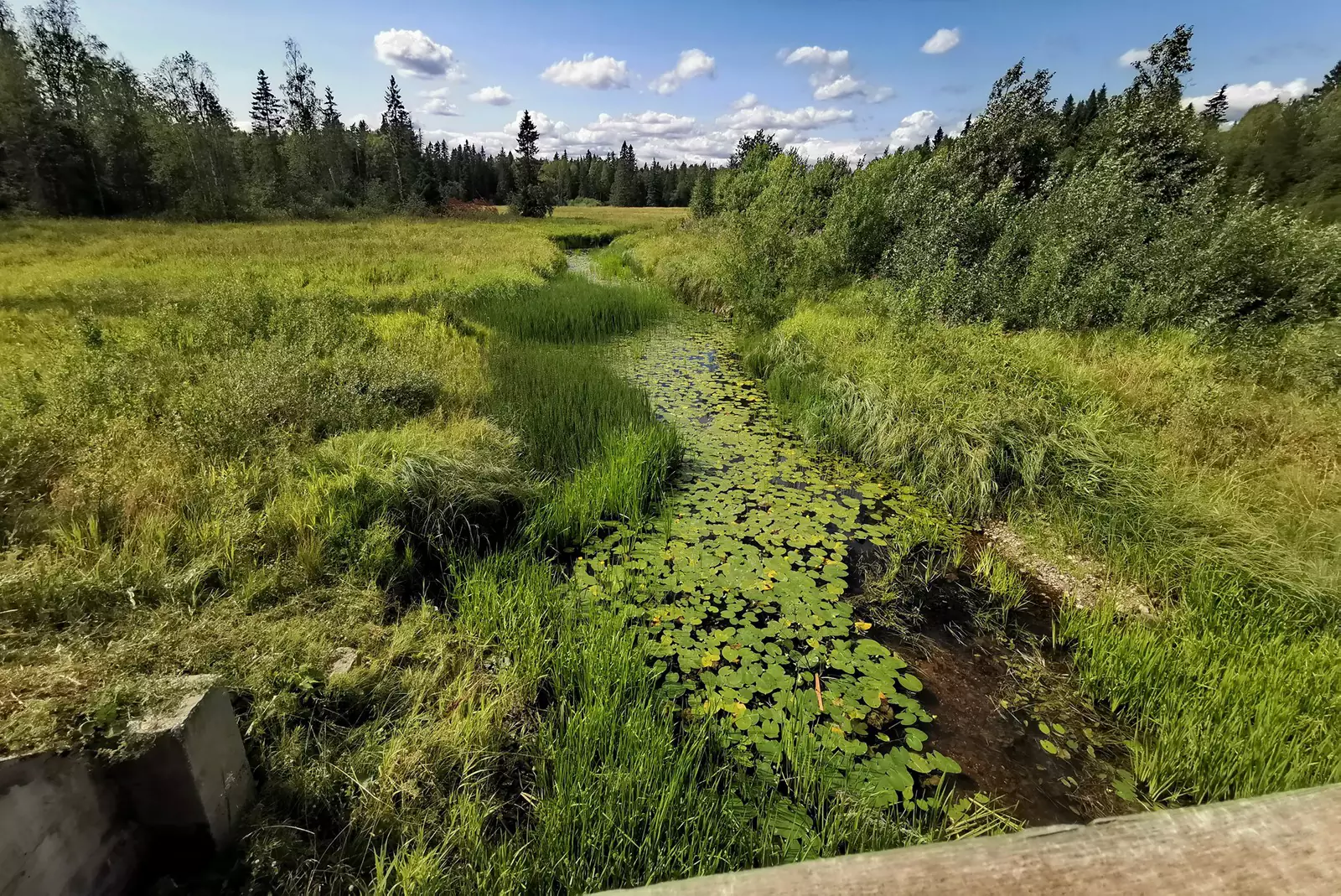 Таких речек много, тянут к себе. Таких речек много, тянут к себе.