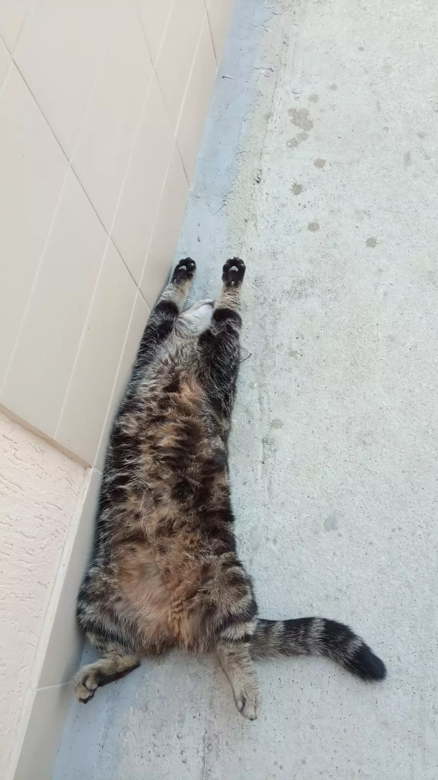 У стеночки хорошо. У стеночки хорошо.