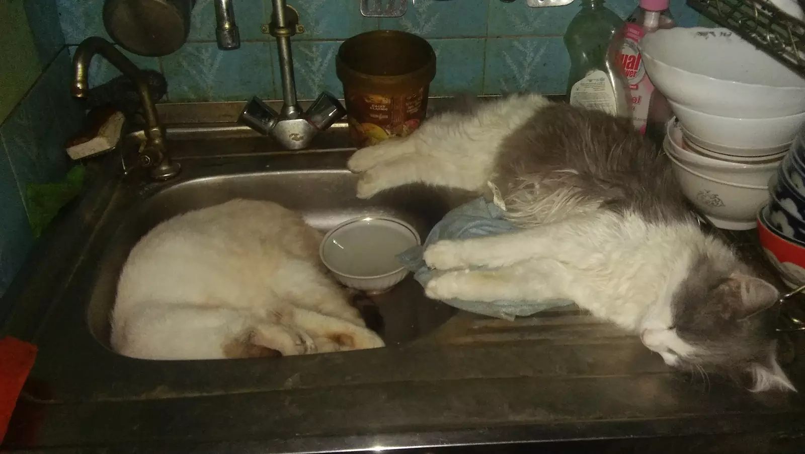 Когда на улице +40. Когда на улице +40.