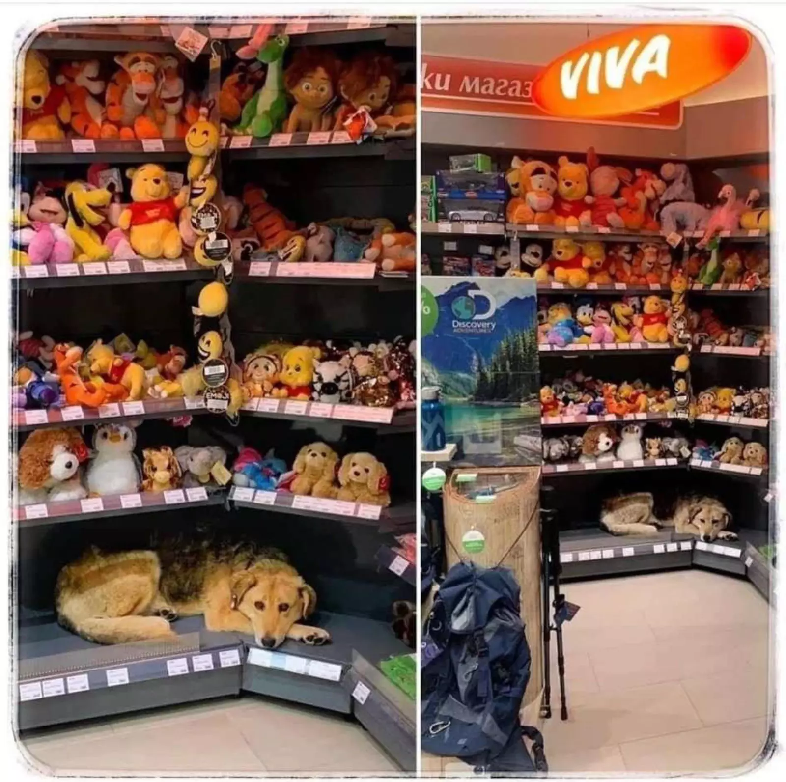 Когда в магазине есть кондиционер. Когда в магазине есть кондиционер.