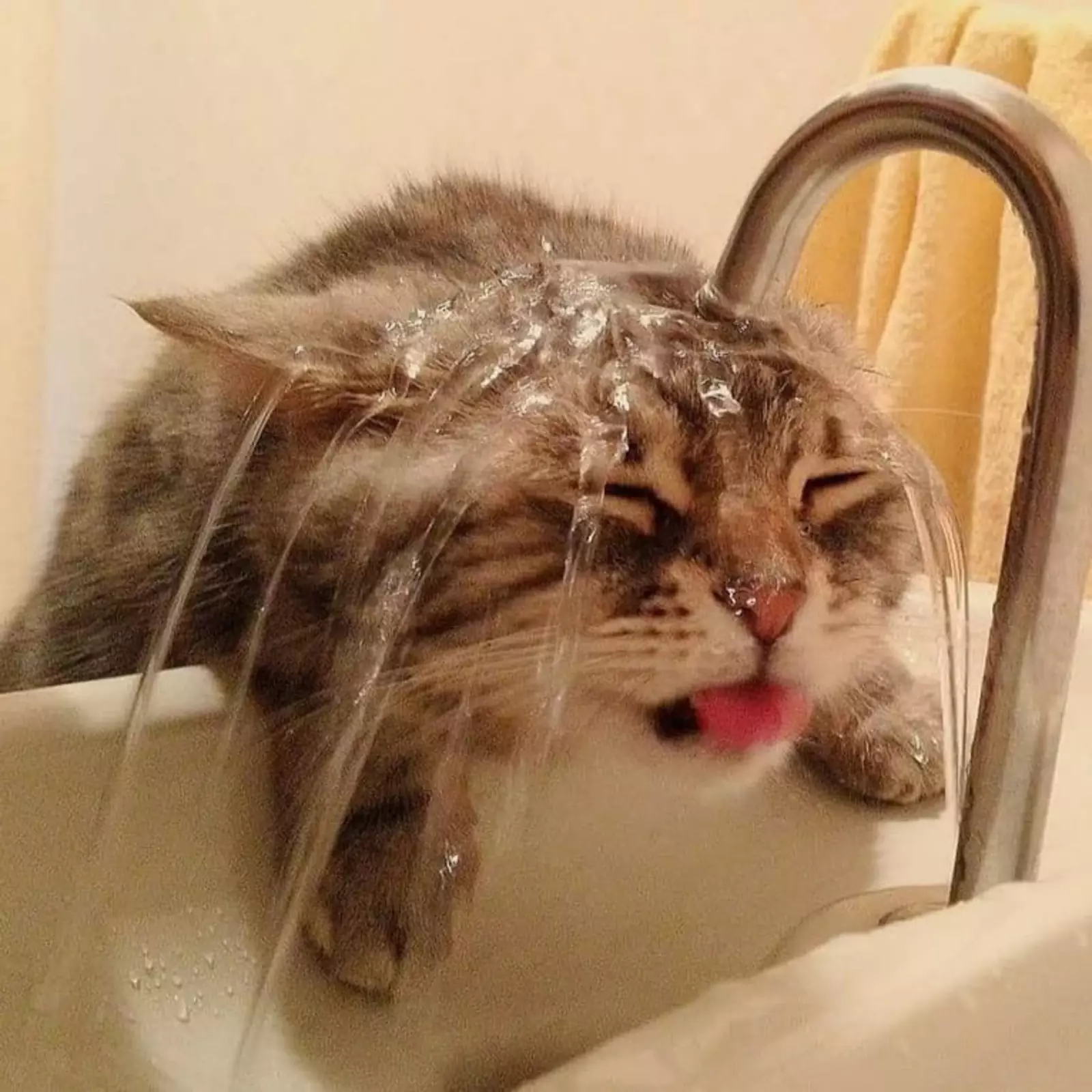 Спасают только ванные процедуры. Спасают только ванные процедуры.