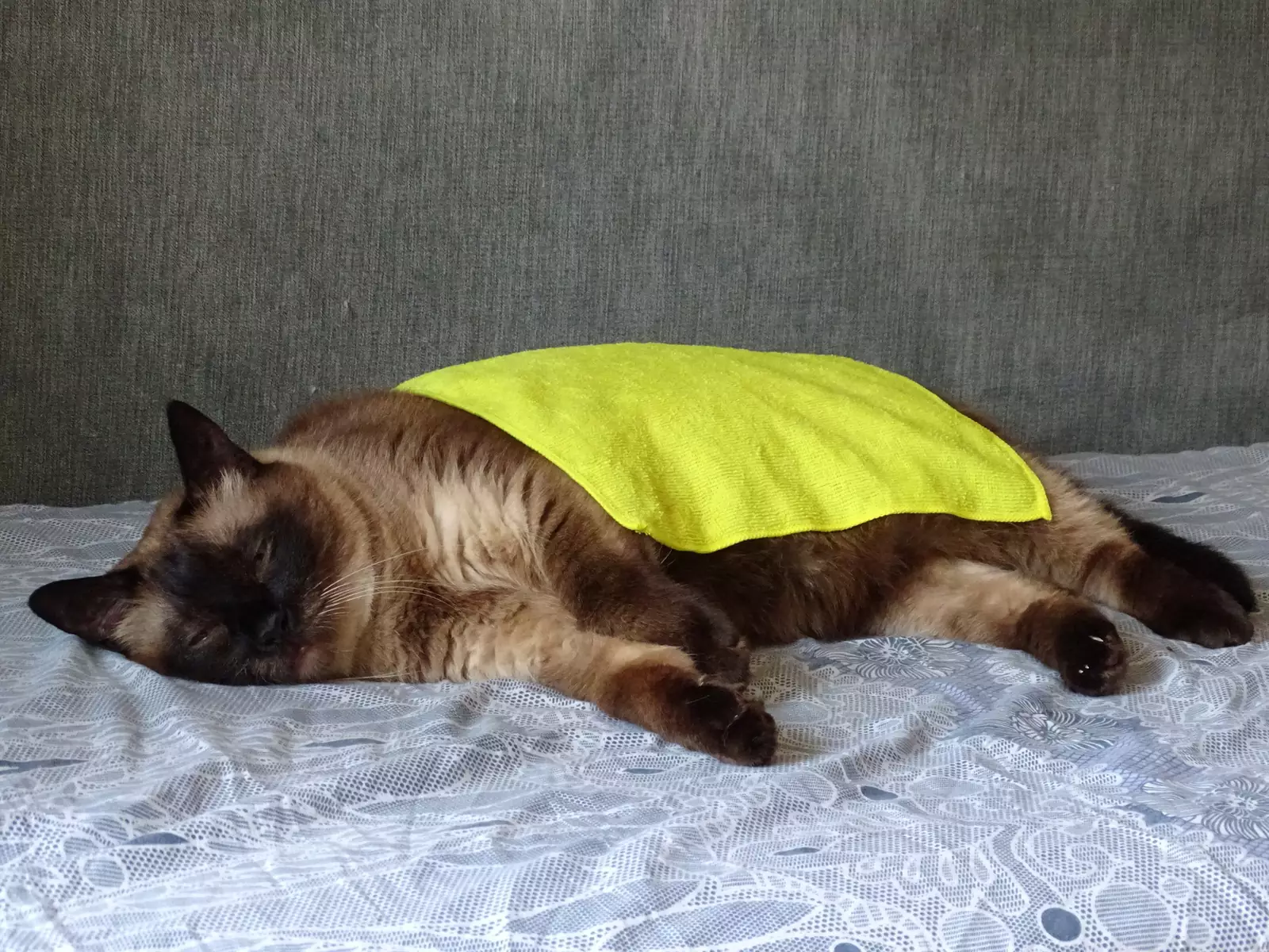 Влажное полотенце - настоящее спасение в +35. Влажное полотенце - настоящее спасение в +35.