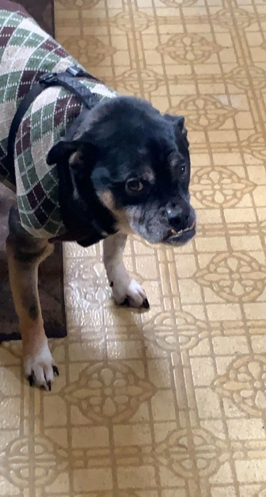 «Он ненавидит свой свитер. Но еще больше он ненавидит мерзнуть»