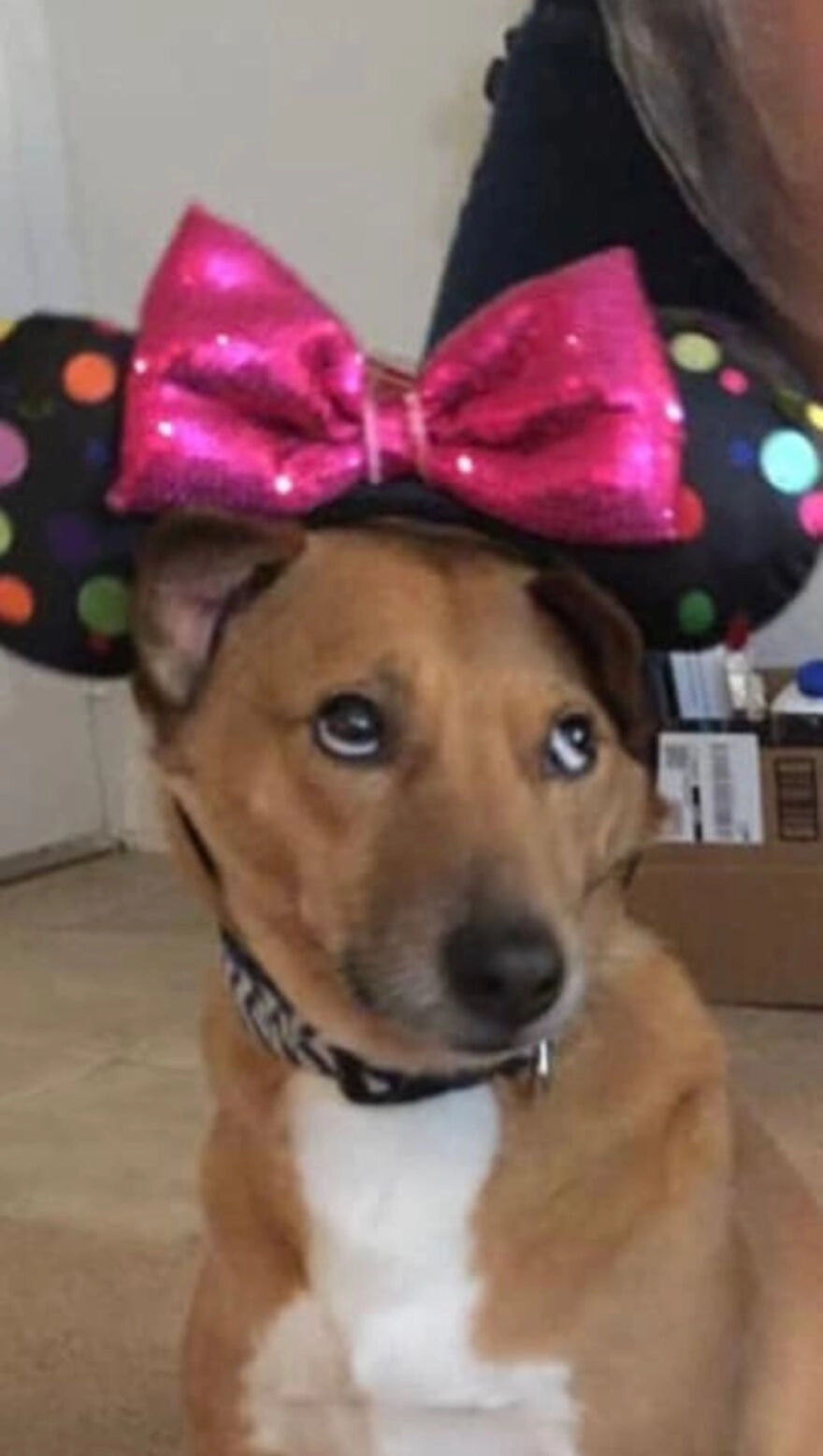 «Мам, серьезно? Не могла бы ты это снять?»