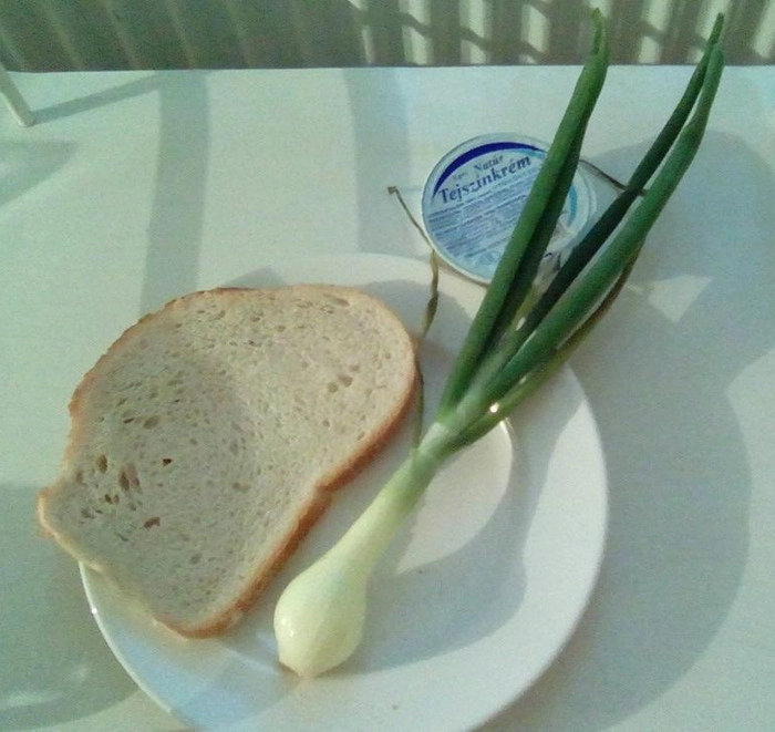 Так выглядит завтрак в венгерской больнице. 