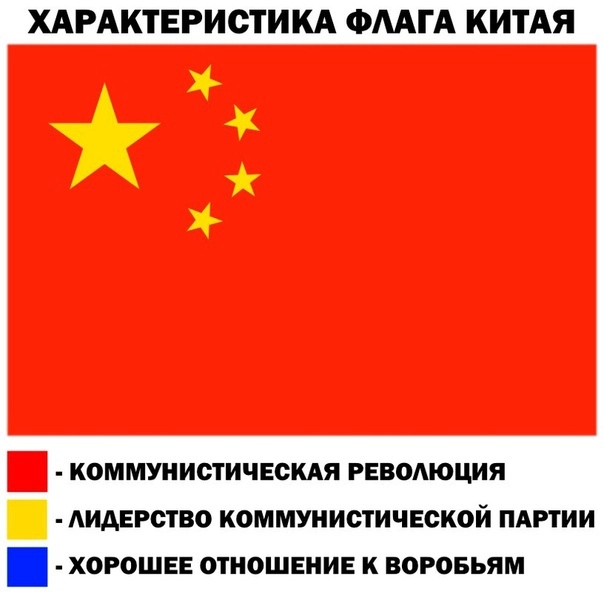 Птичек жалко. 