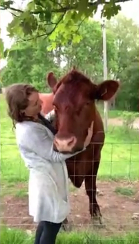 Теперь Тор весит почти 750 килограммов Теперь Тор весит почти 750 килограммов