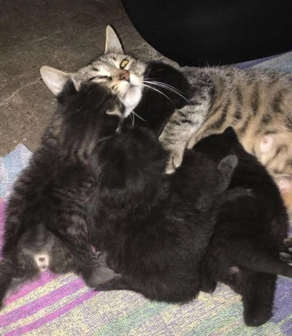 “Помогите”. 