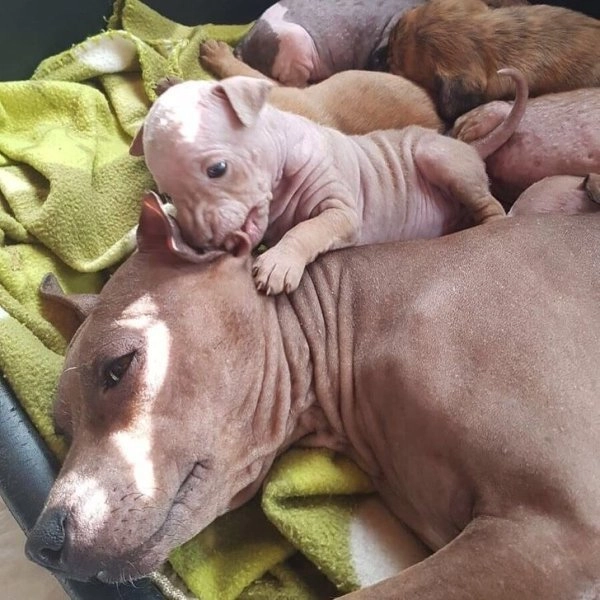 Ох уж это выражения счастья на ее мордахе. 