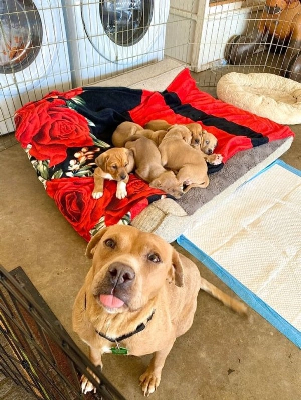 Материнство может быть утомительным. 