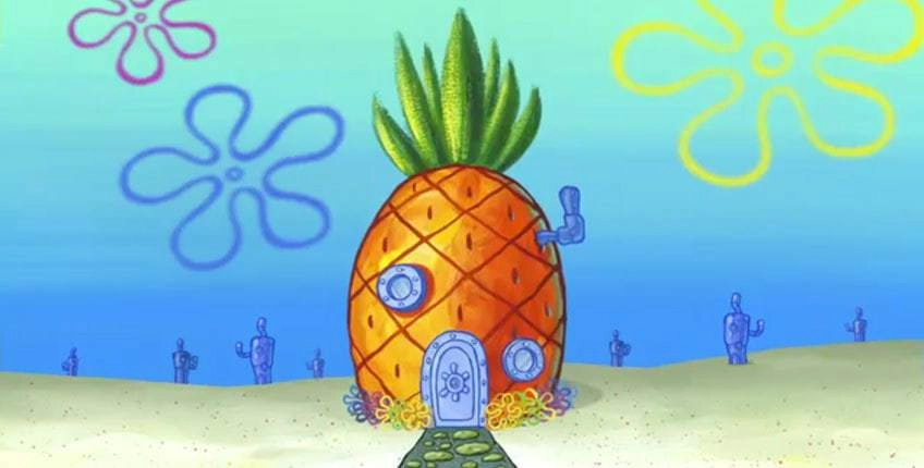 Ананасам необходимо почти два года, чтобы вырасти 