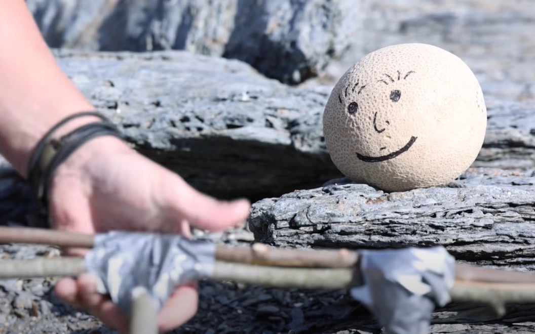 Мелони — это дыня с нарисованной мордочкой. Мелони — это дыня с нарисованной мордочкой.