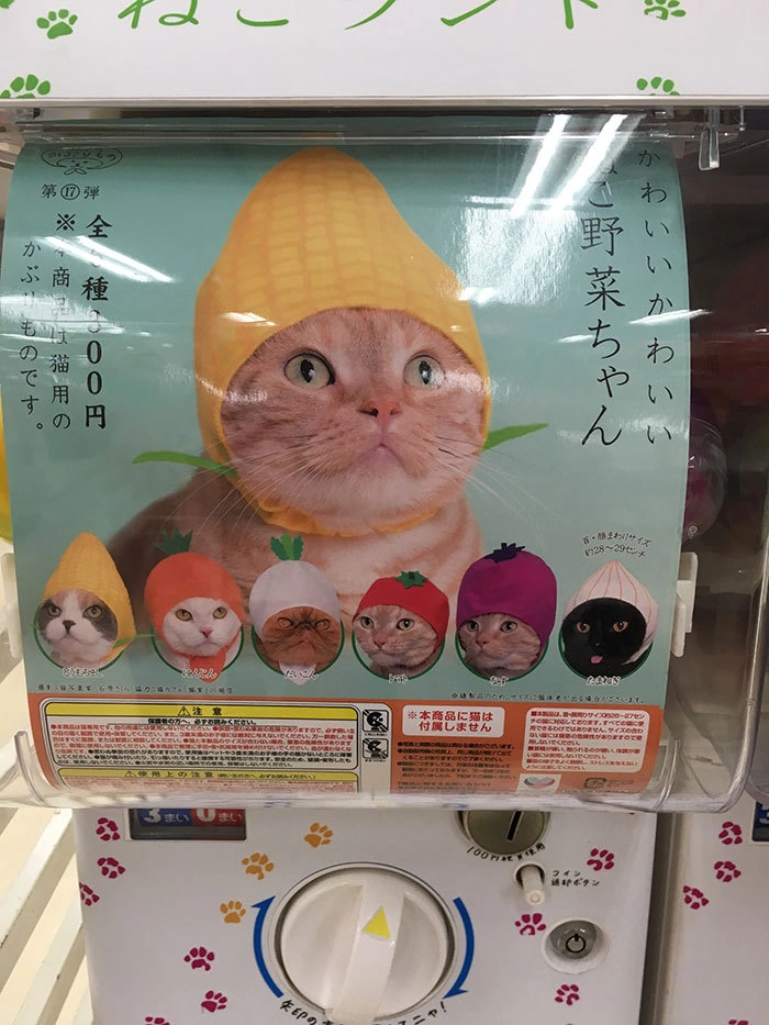 “Где еще можно найти автомат с шапками для кошек? Конечно, в Японии”. 