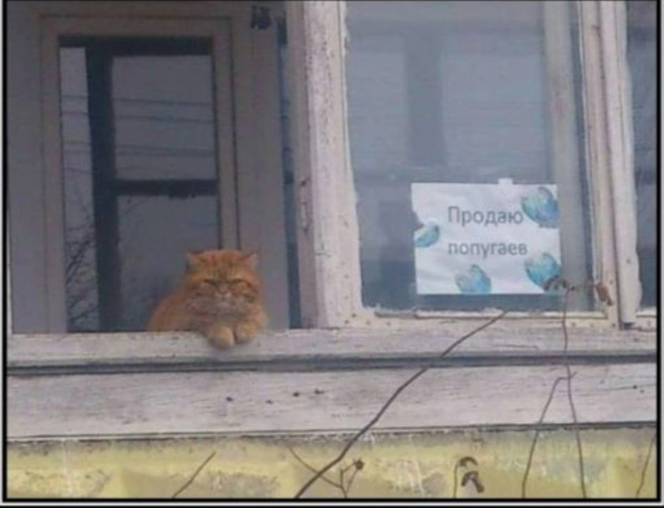 Ничего личного, просто бизнес. Ничего личного, просто бизнес.