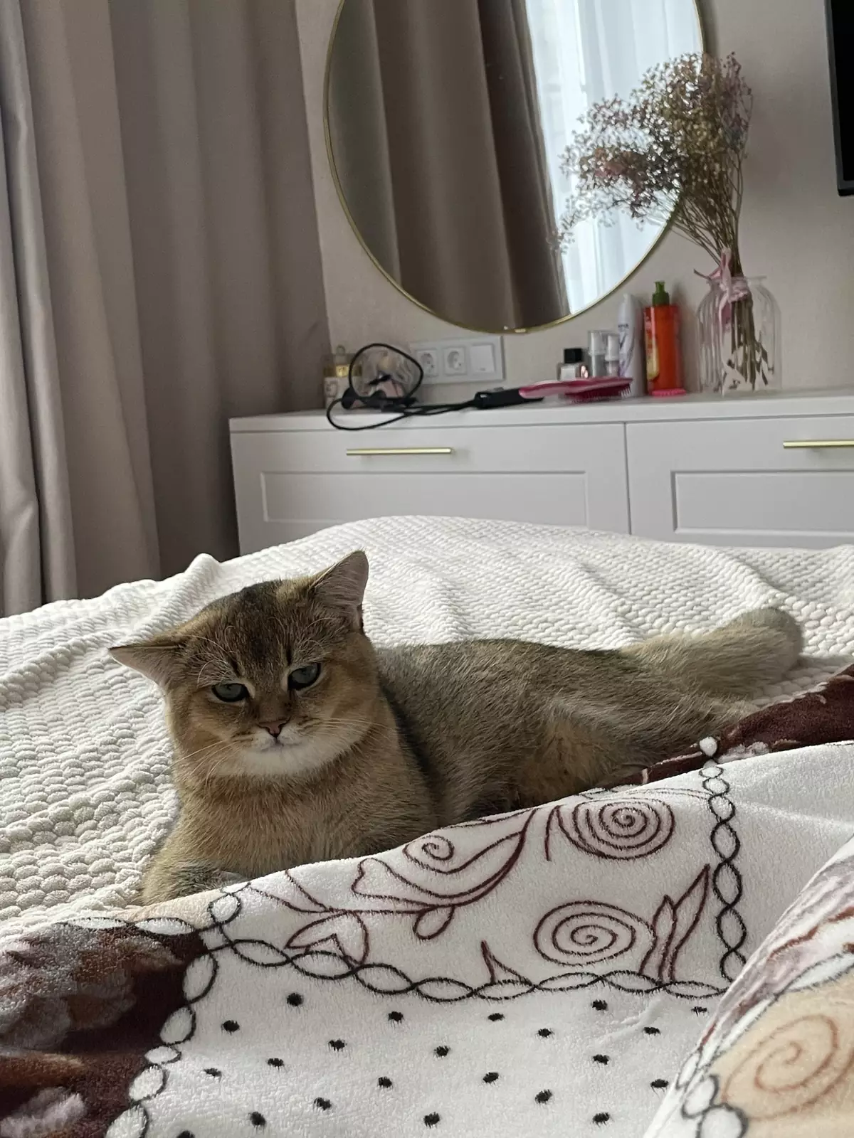 Опять хозяйка проспала завтрак. Опять хозяйка проспала завтрак.