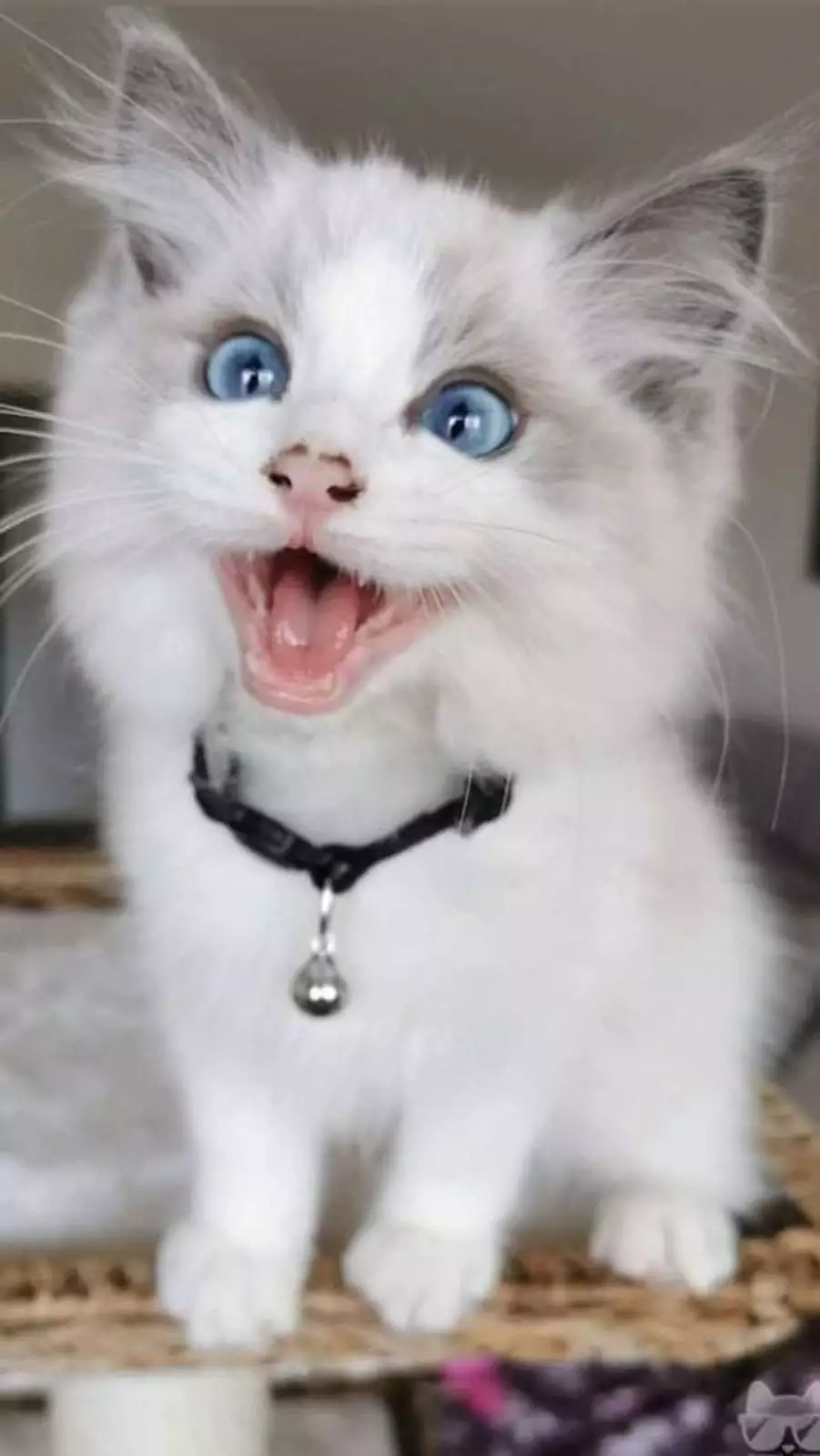 А этот малыш заметил птиц за окном. А этот малыш заметил птиц за окном.