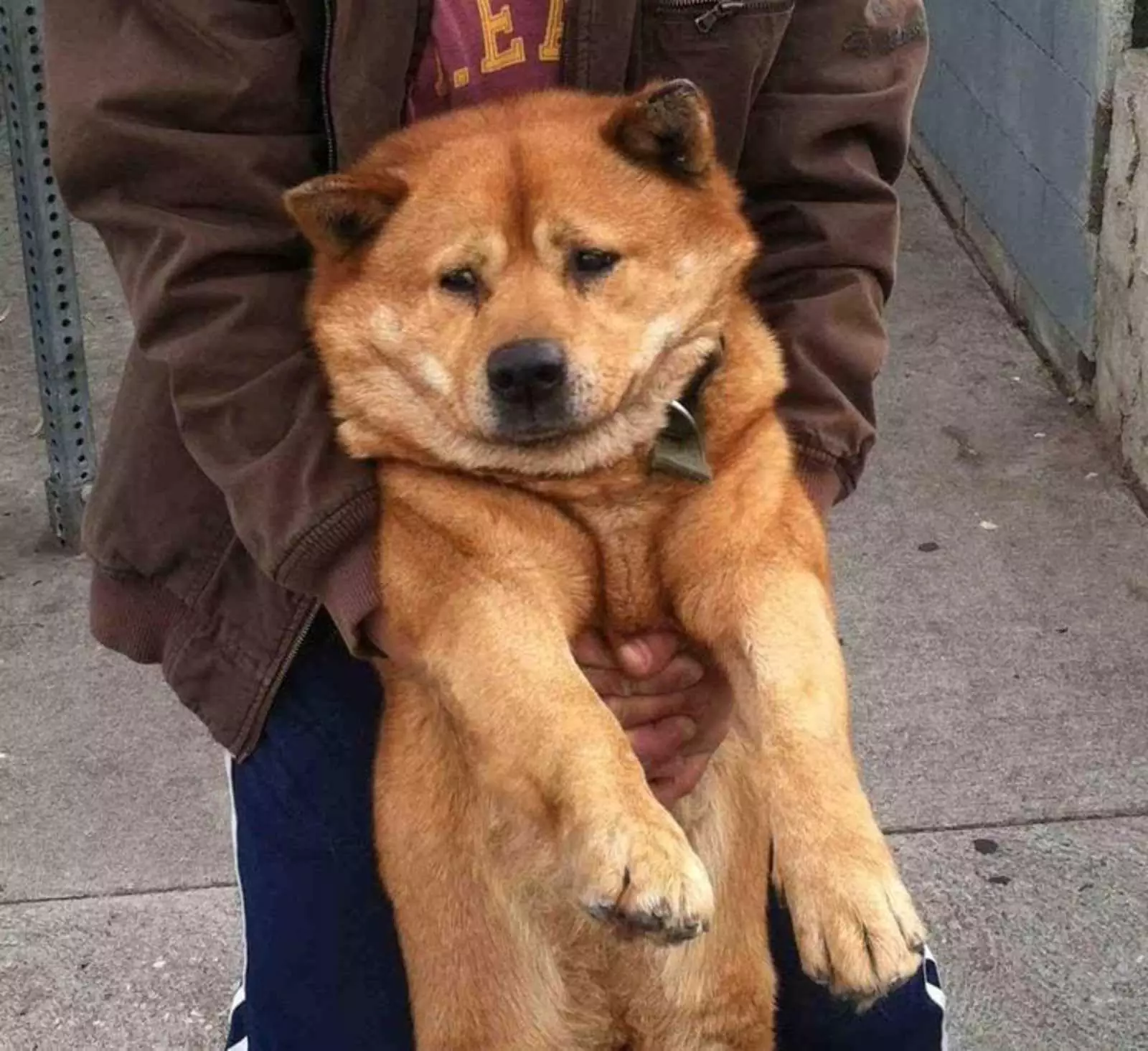 Время прогулки в парке подошло к концу. Время прогулки в парке подошло к концу.