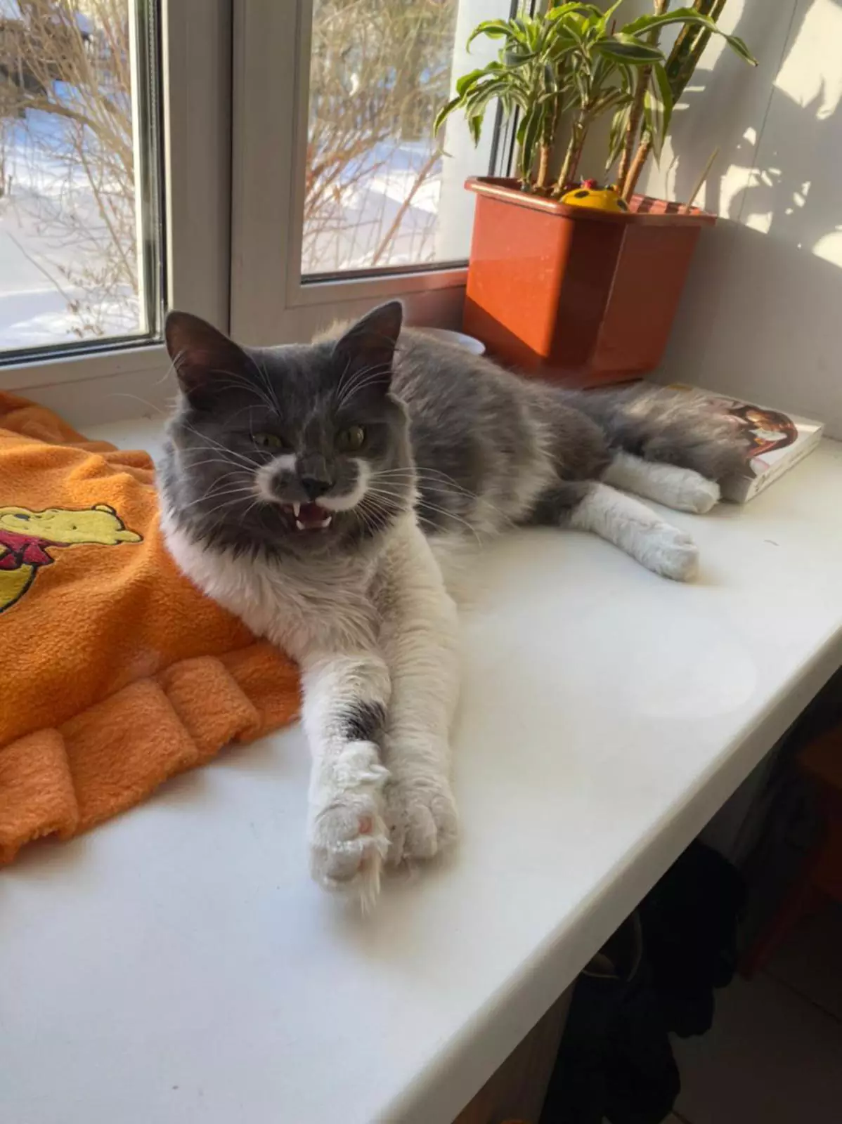 “Чего тебе, кожаный?”. “Чего тебе, кожаный?”.