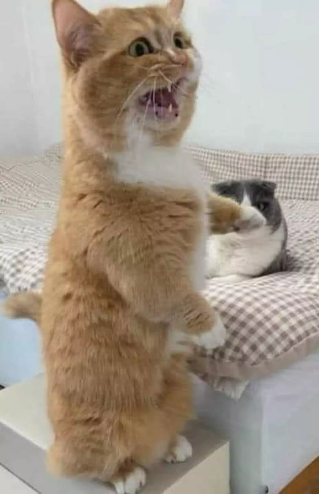 “Наташа, это кто?”. “Наташа, это кто?”.