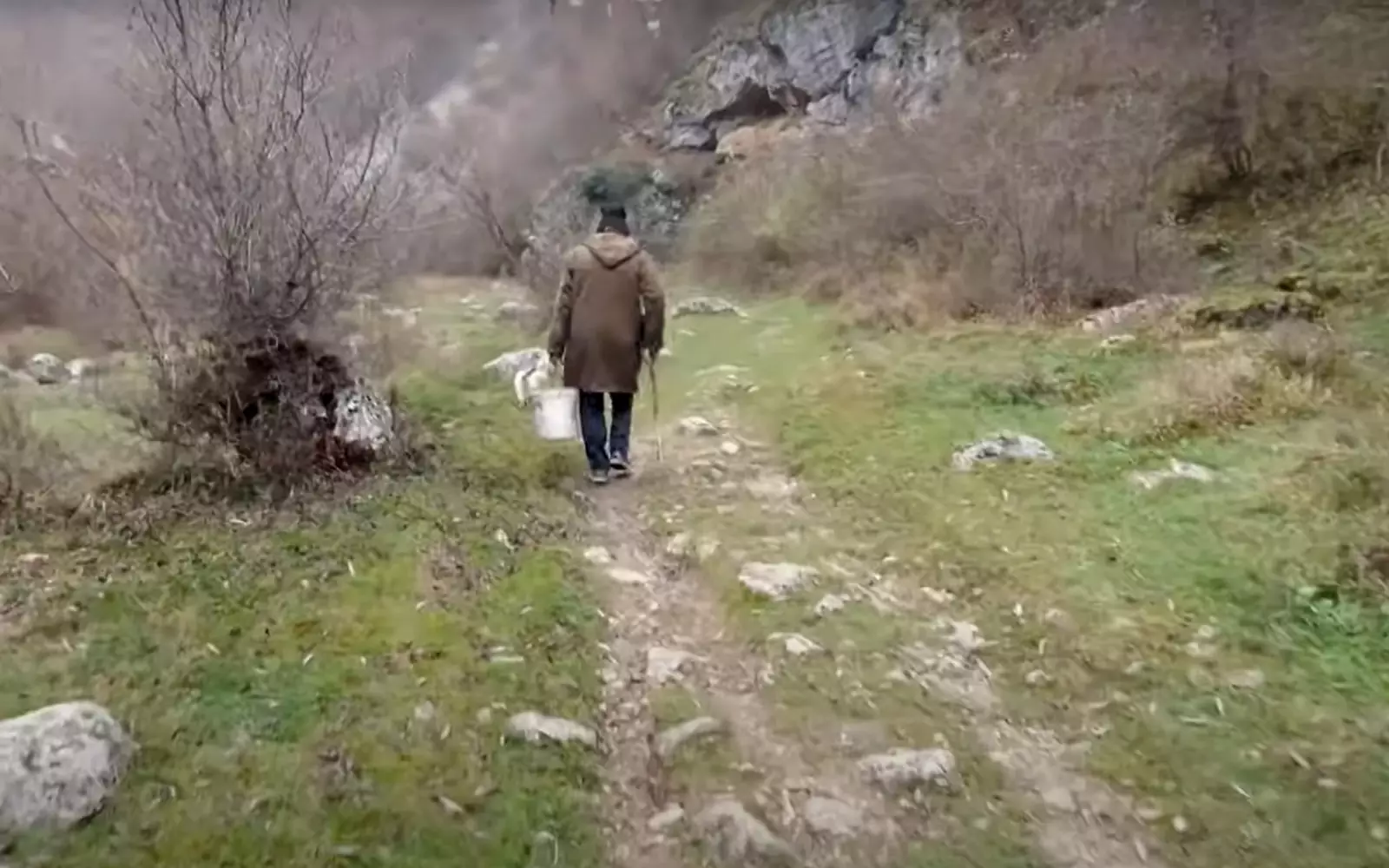 Петрович питается тем, что находит вокруг горы: грибами, ягодами и рыбой из местного ручья. Петрович питается тем, что находит вокруг горы: грибами, ягодами и рыбой из местного ручья.