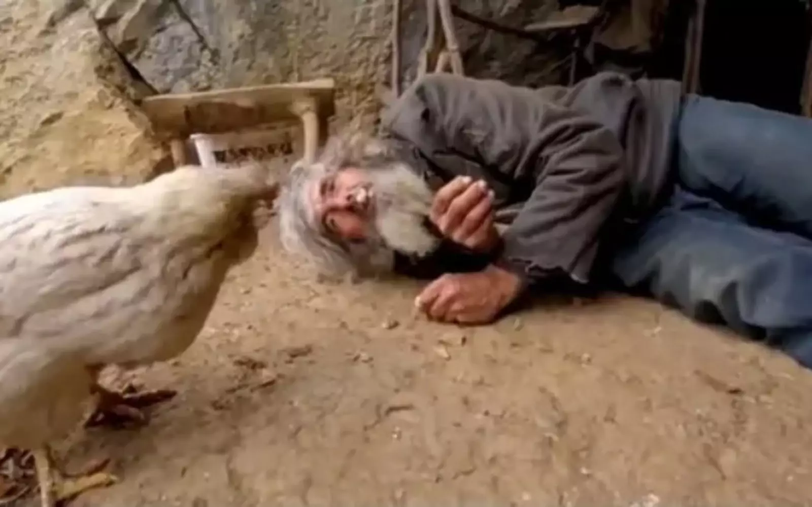 Вместе с Петровичем живут куры, козы, свинья, кошки и собаки. Вместе с Петровичем живут куры, козы, свинья, кошки и собаки.