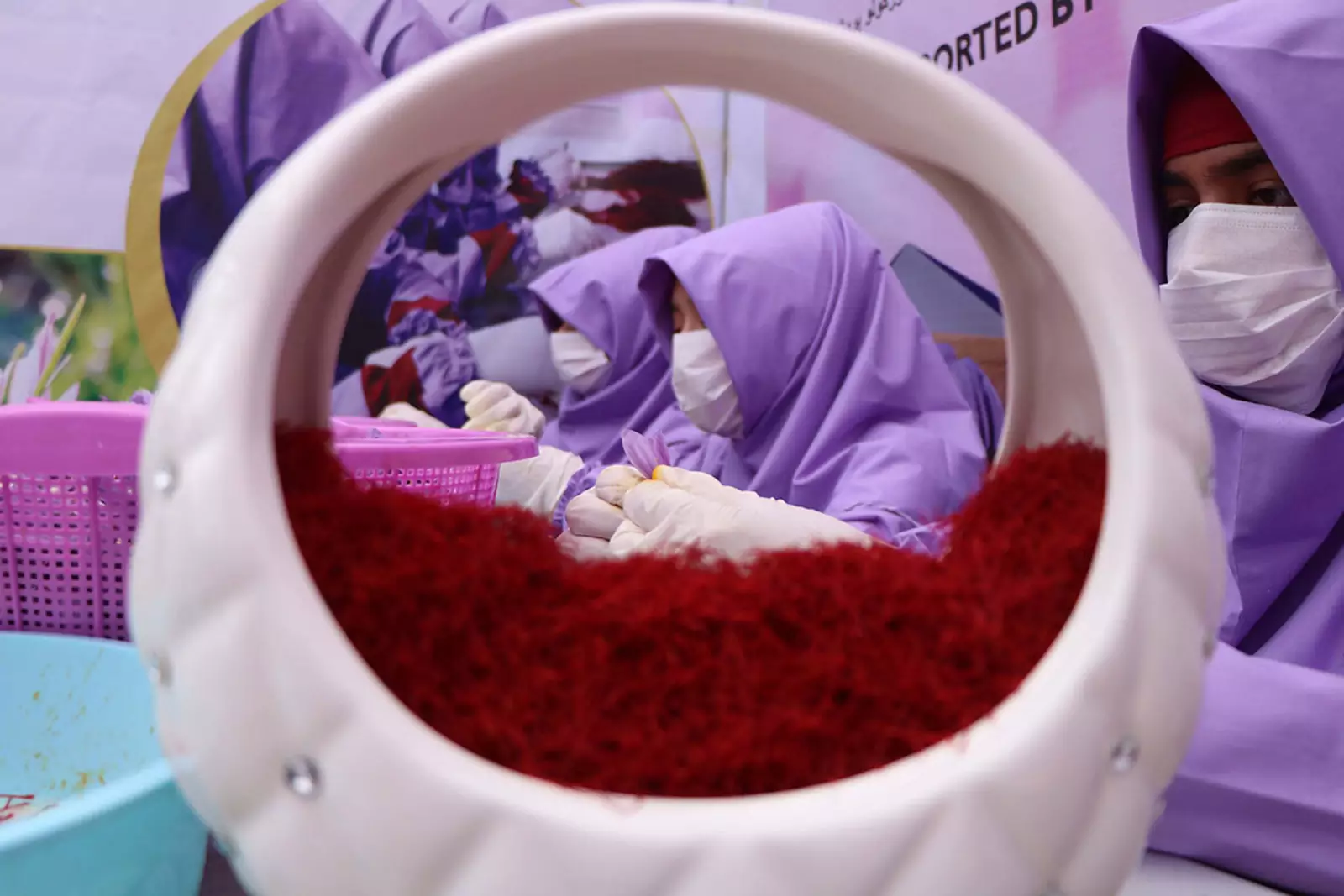 Производство шафрана в Афганистане Производство шафрана в Афганистане