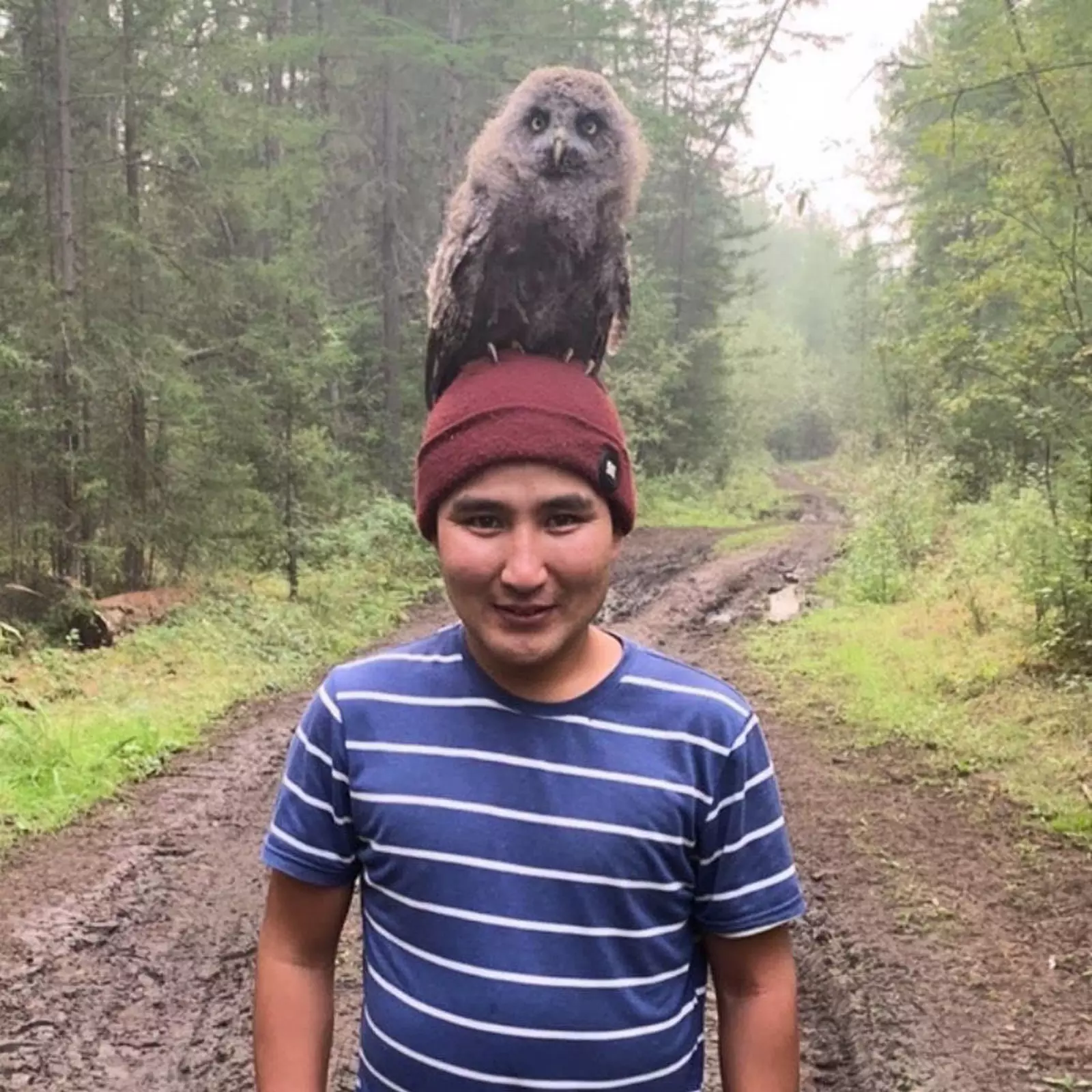 Во время работ по тушению лесных пожаров в Якутии был спасён птенец совы, который сел на голову своему спасителю. 