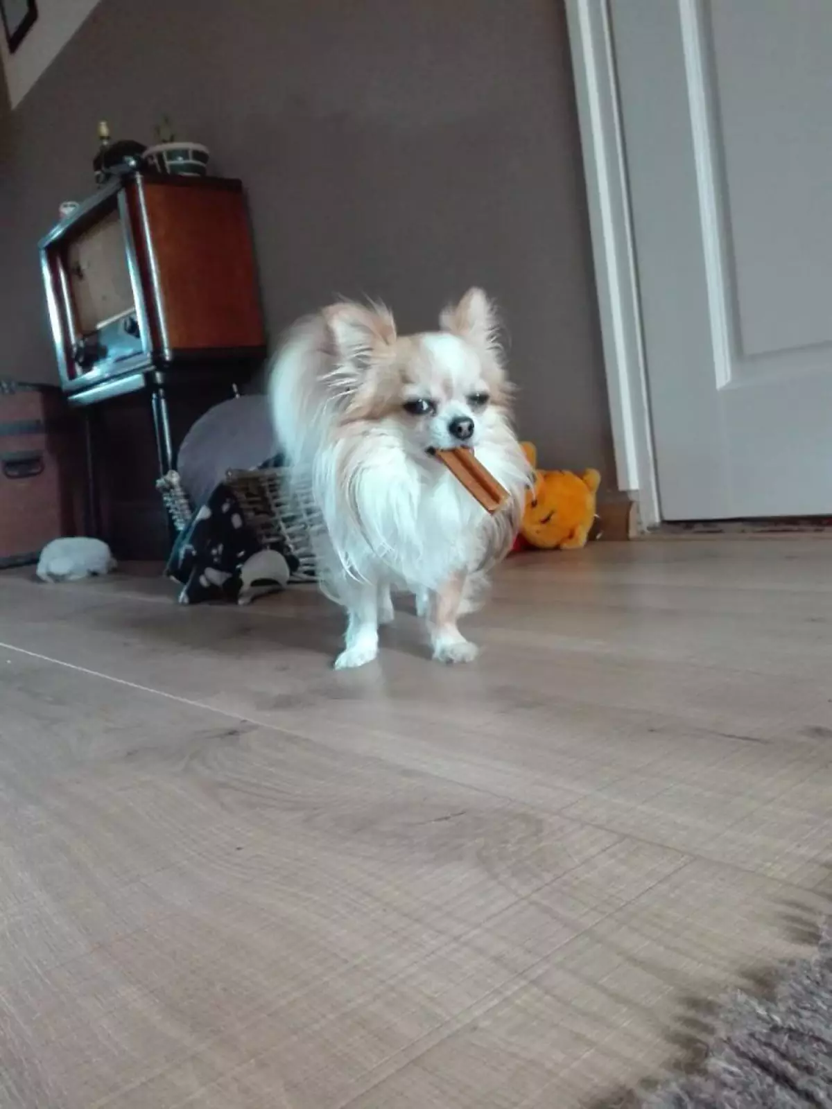 «Не трогай меня, плохо будет». «Не трогай меня, плохо будет».