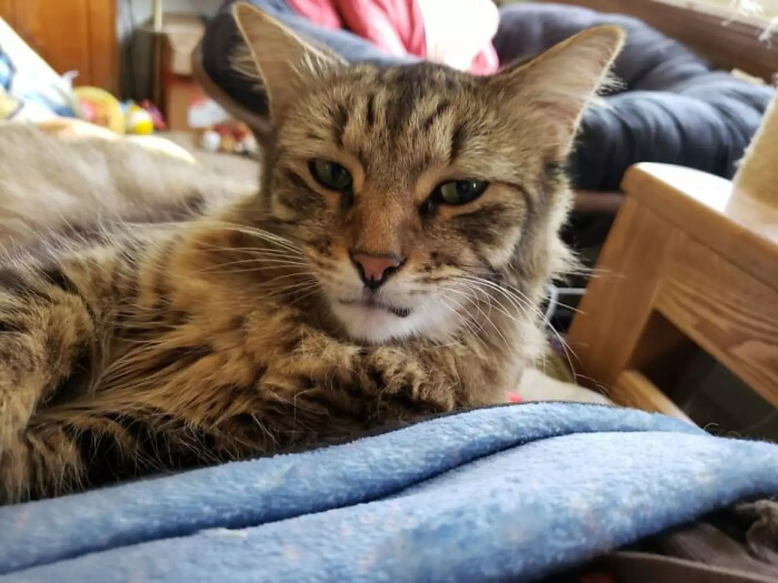 «Он недоволен тем, что я его разбудил». «Он недоволен тем, что я его разбудил».