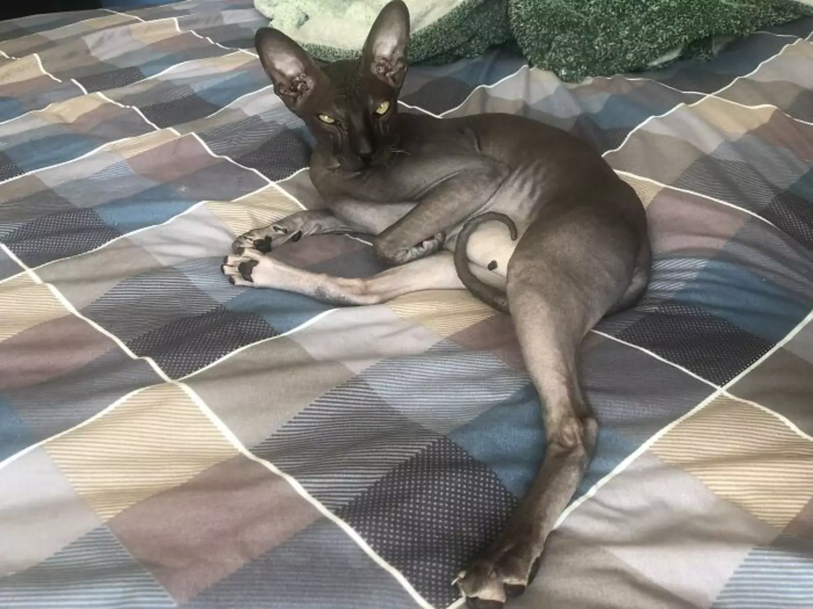 «Он суровый, но все равно прекрасно выглядит». «Он суровый, но все равно прекрасно выглядит».