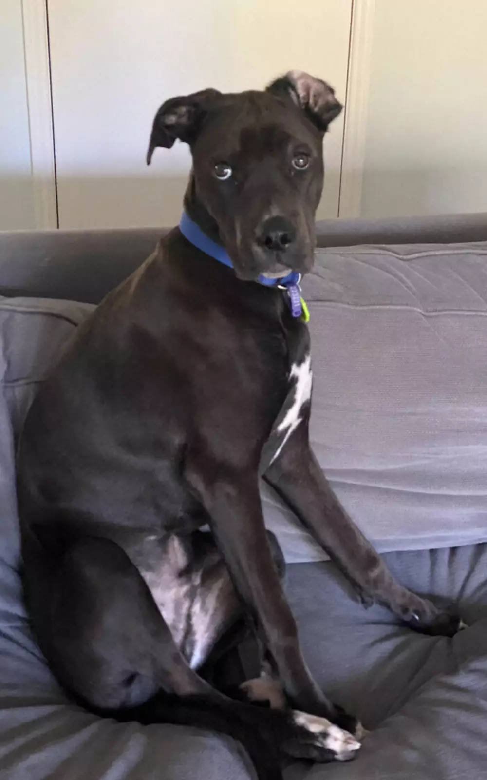 «Я сказал ему уйти с моего места, но он не хотел». «Я сказал ему уйти с моего места, но он не хотел».