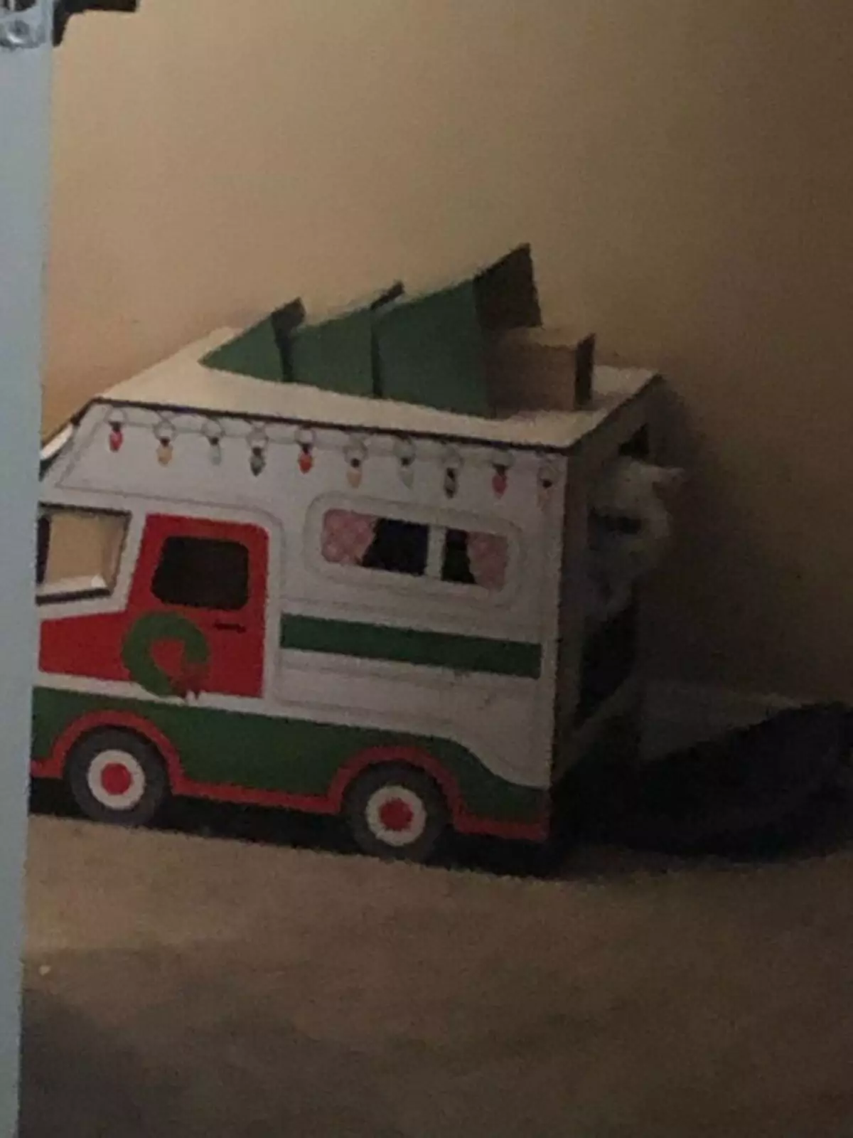 «Мы гладили его брата». «Мы гладили его брата».