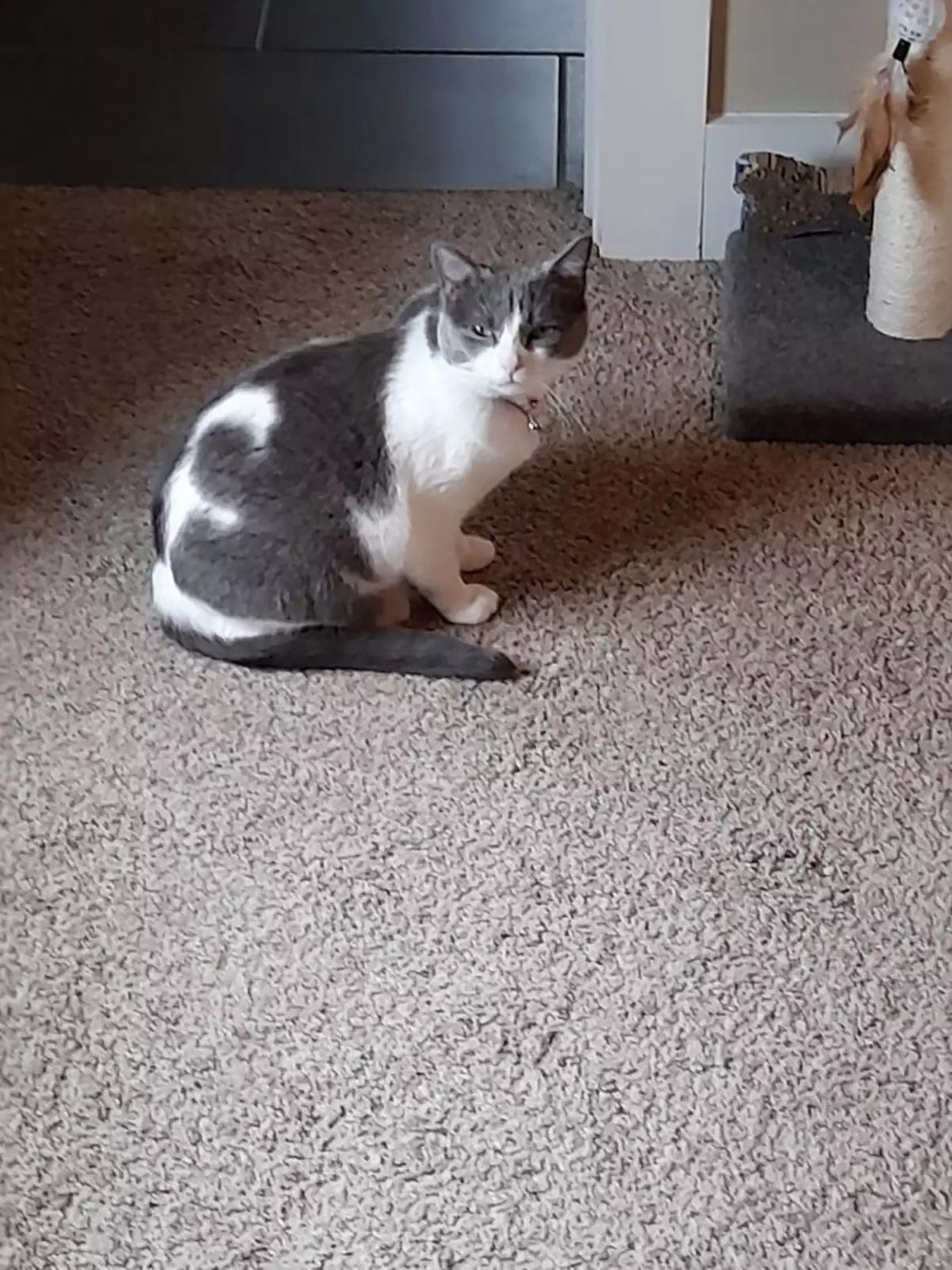 «Это смешно и немного пугающе одновременно». «Это смешно и немного пугающе одновременно».