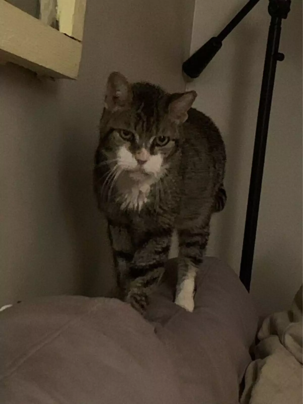 «Идет на разборки». «Идет на разборки».