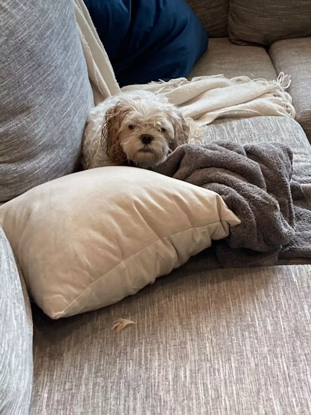 «Ей не понравилось купание». «Ей не понравилось купание».