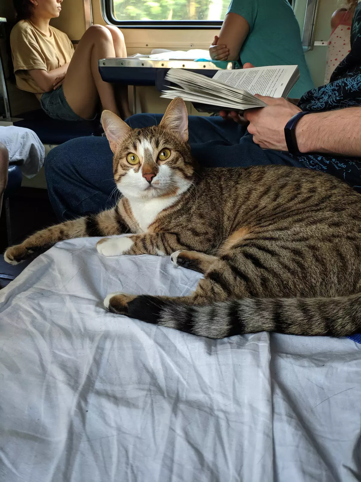 Послушный путешественник. Послушный путешественник.