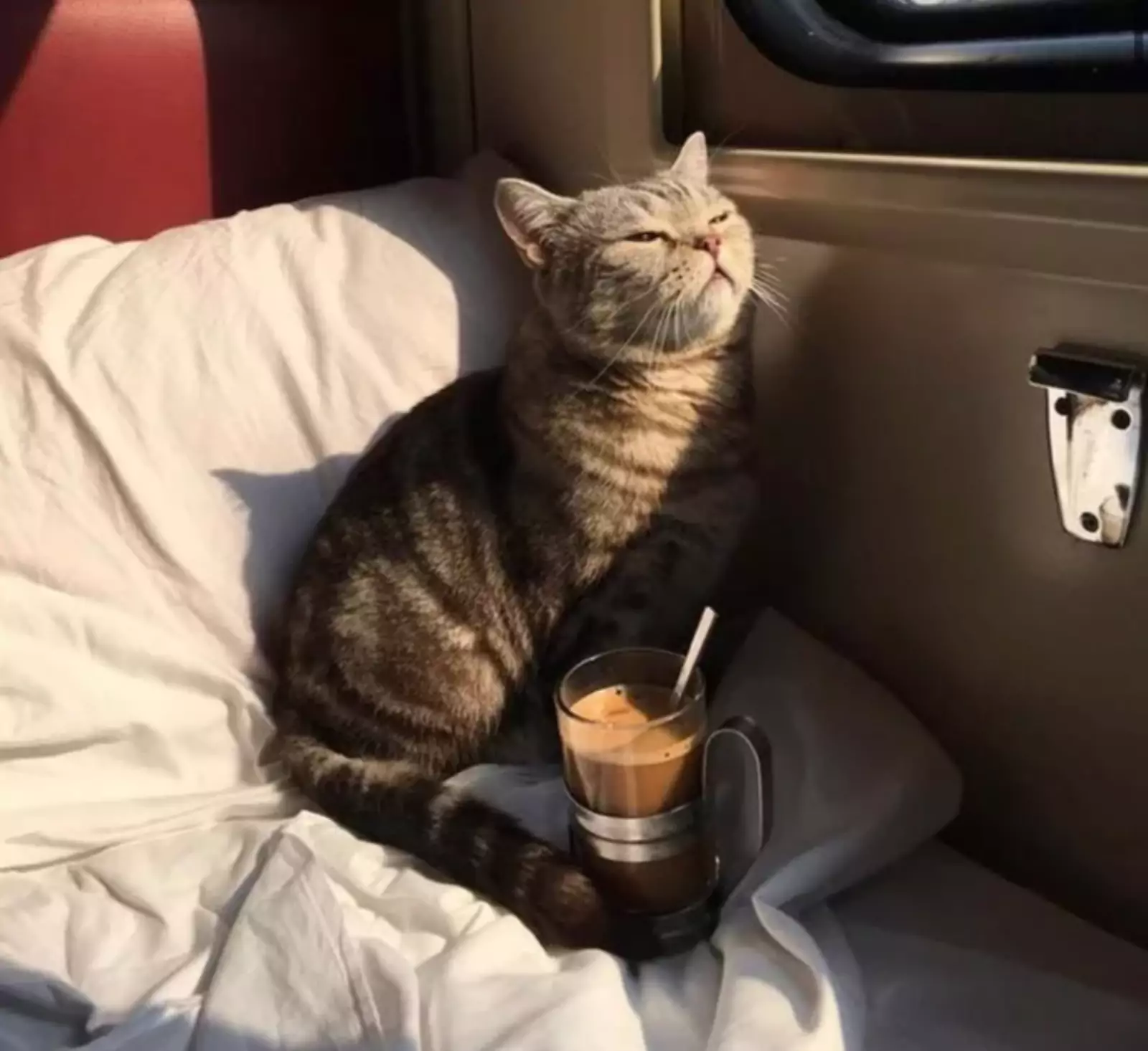 “Лучший попутчик”. “Лучший попутчик”.