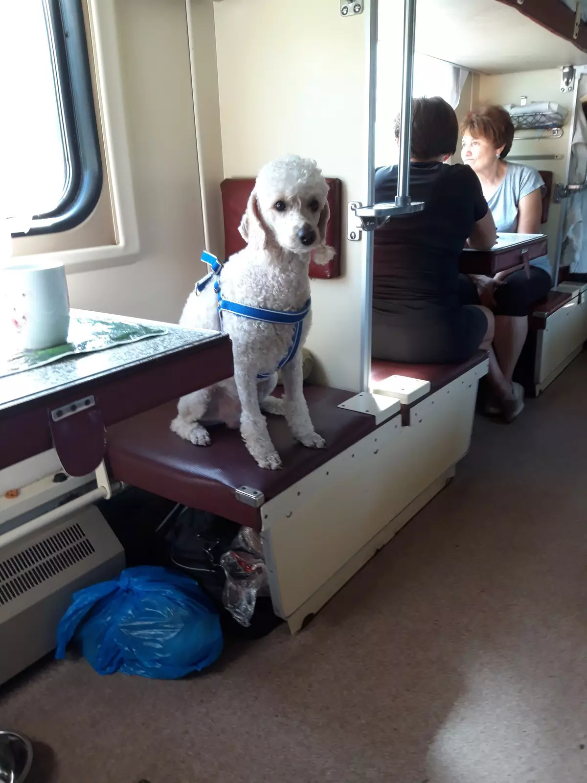 “Ехал на плацкарте из Иркутска в Новосибирск. Это был самый культурный и воспитанный пассажир”. “Ехал на плацкарте из Иркутска в Новосибирск. Это был самый культурный и воспитанный пассажир”.