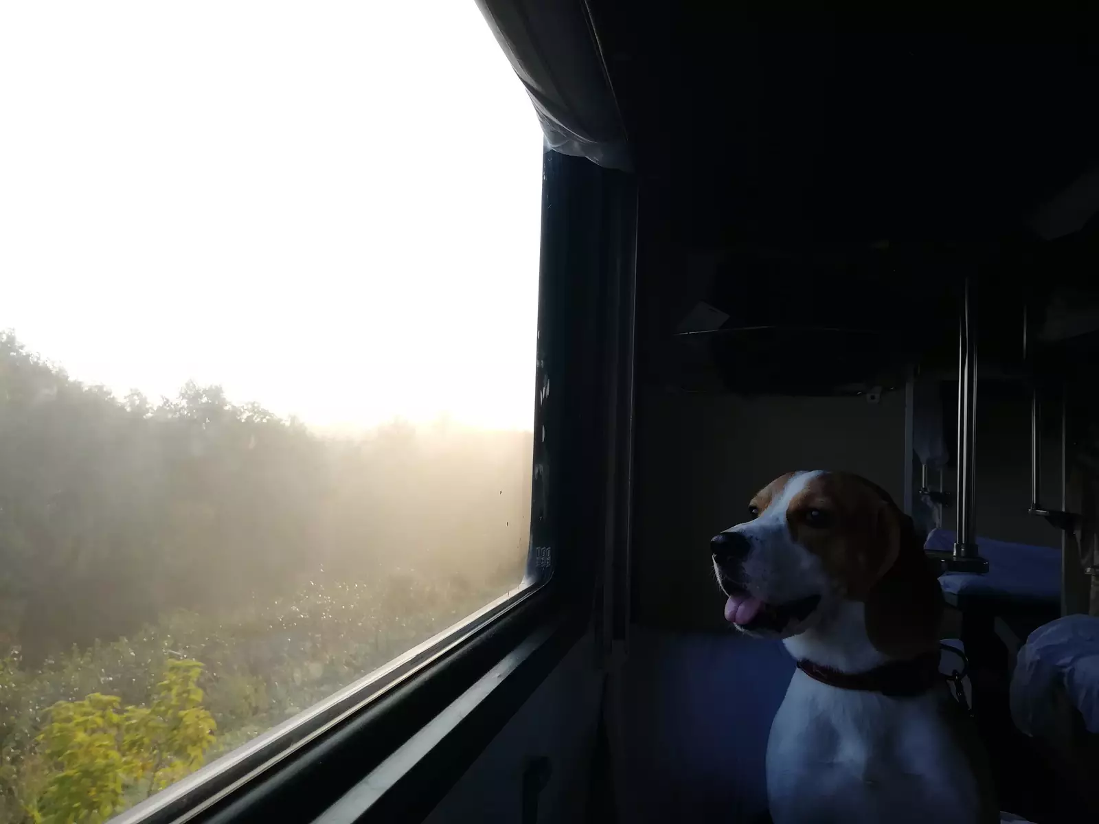 “Идеальное утро в поезде”. “Идеальное утро в поезде”.