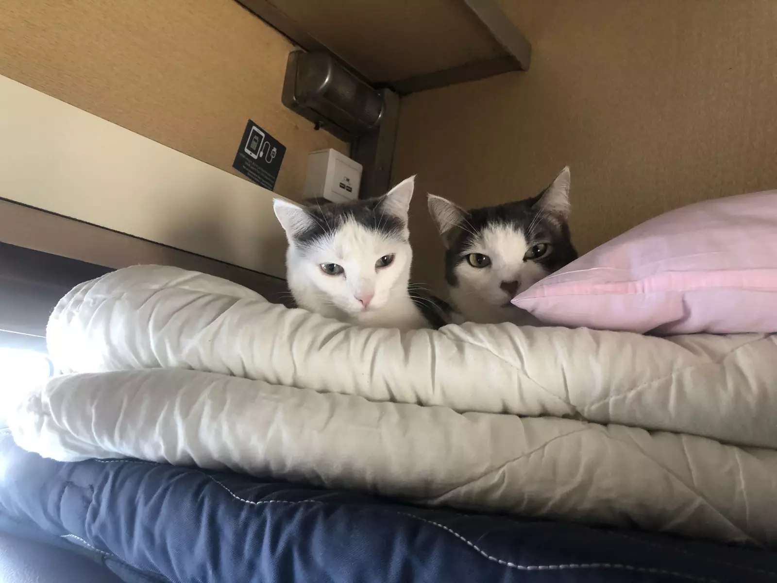 “Далеко едешь?”. “Далеко едешь?”.