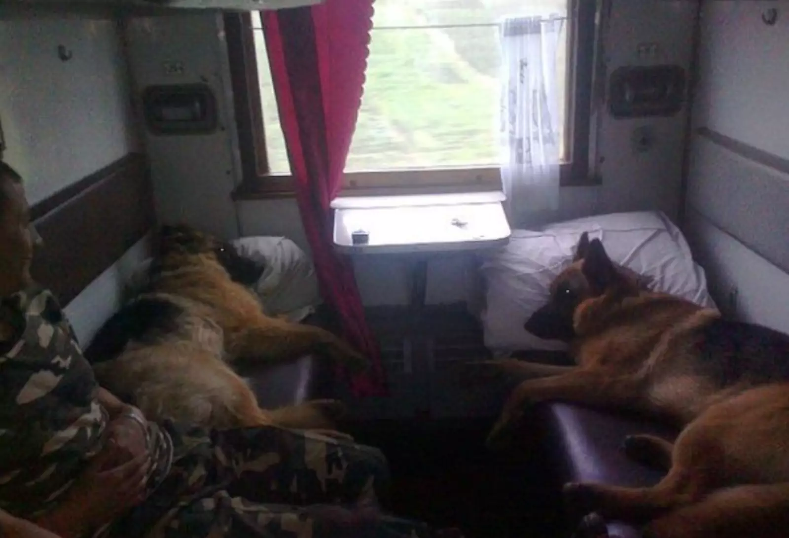 Словно фото из параллельной вселенной. Словно фото из параллельной вселенной.