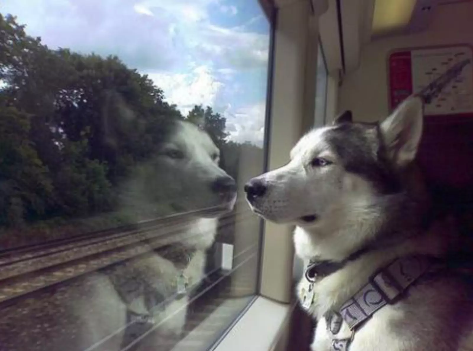 Задумался о смысле жизни. Задумался о смысле жизни.