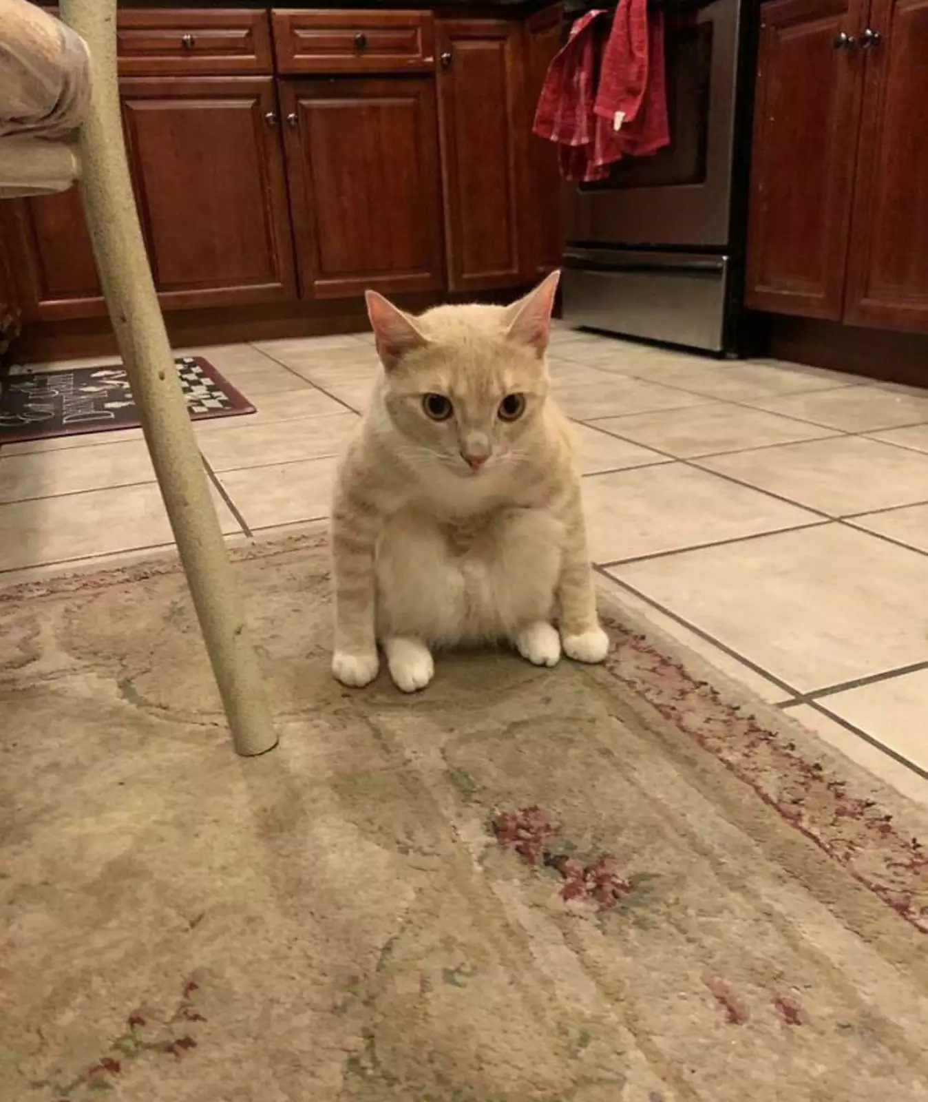 Очень странная поза. Очень странная поза.