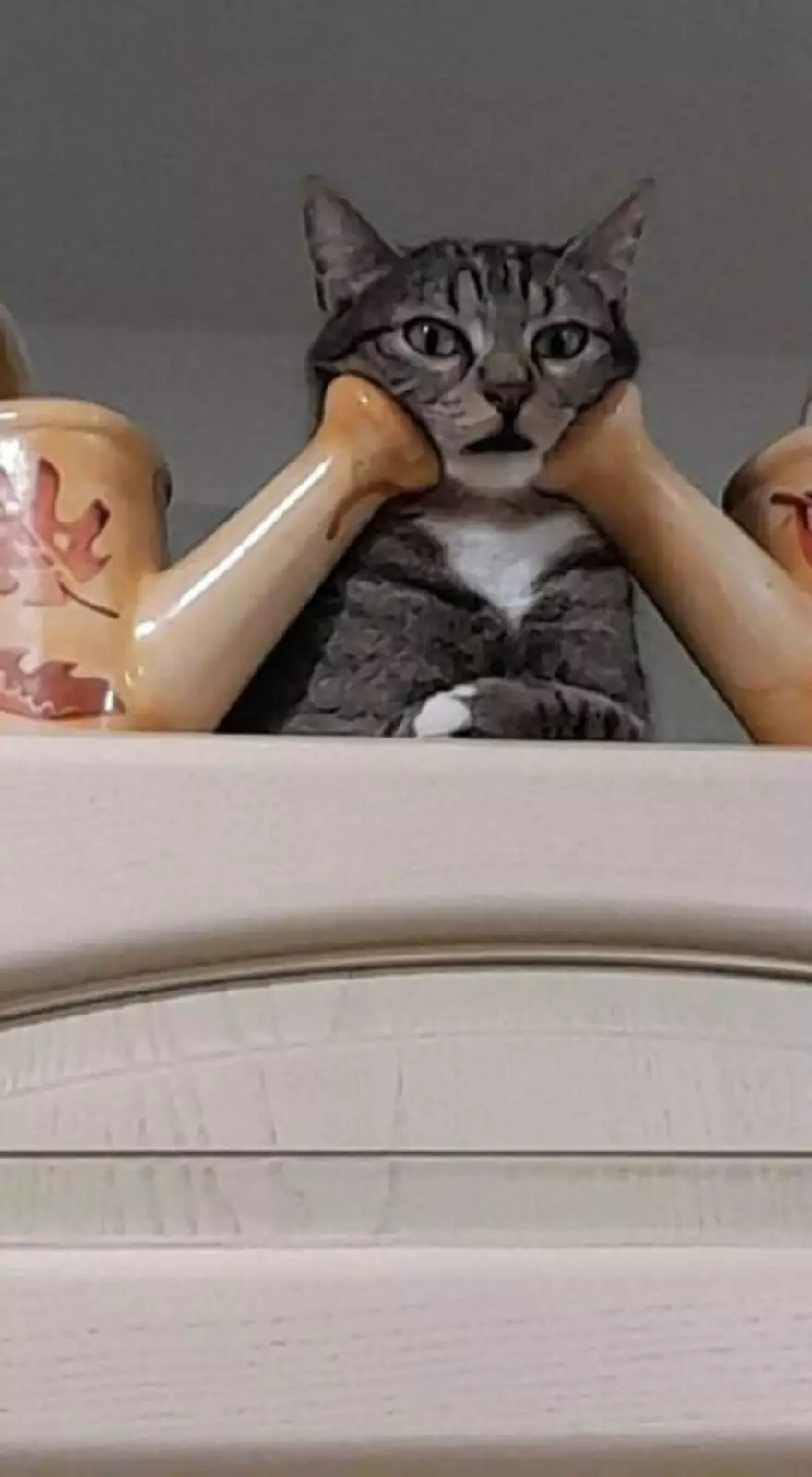 «Увидел, как кот наблюдает за мной в таком положении». «Увидел, как кот наблюдает за мной в таком положении».